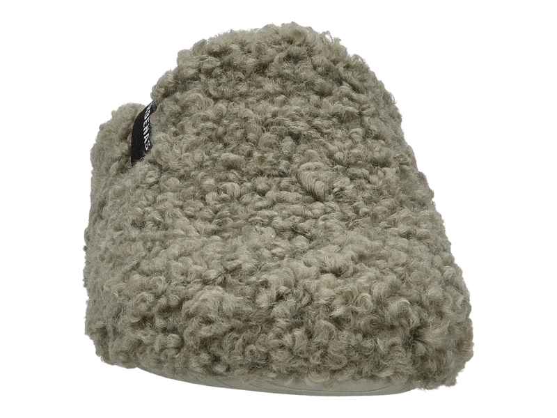 Voir le produit 'Verbenas Pantoufles Vert' (en anglais) Verbenas Pantoufles Vert