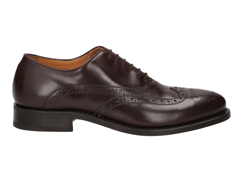 Gallucci Lace Shoes Brown