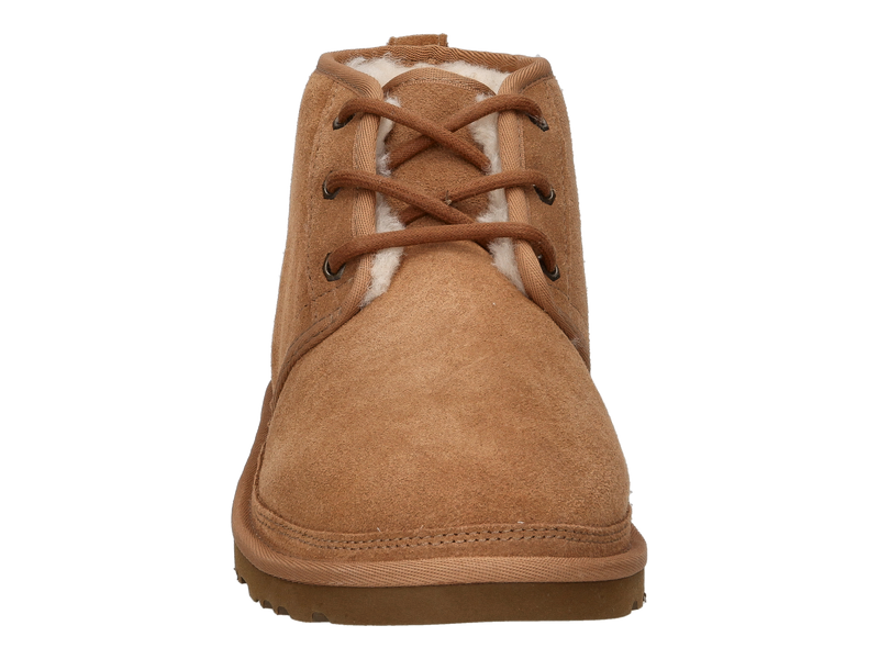 Ugg Bottines Cognac