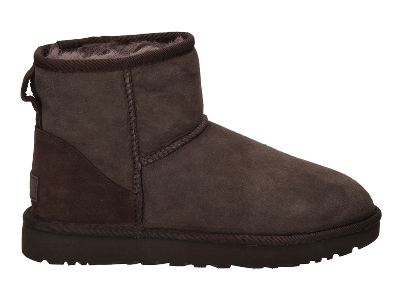 Ugg Boots Bruin