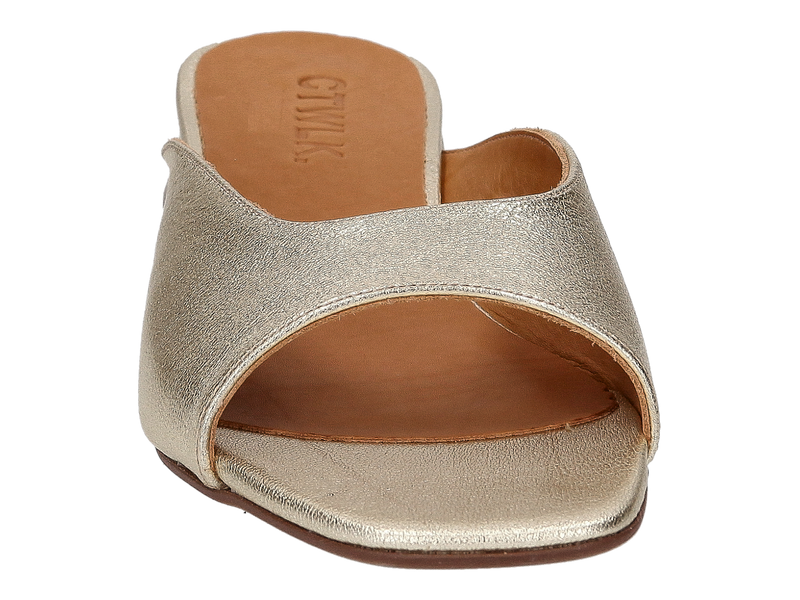 Ctwlk Slippers Goud