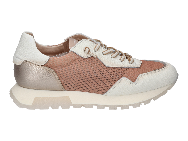 Hispanitas Sneakers Bruin