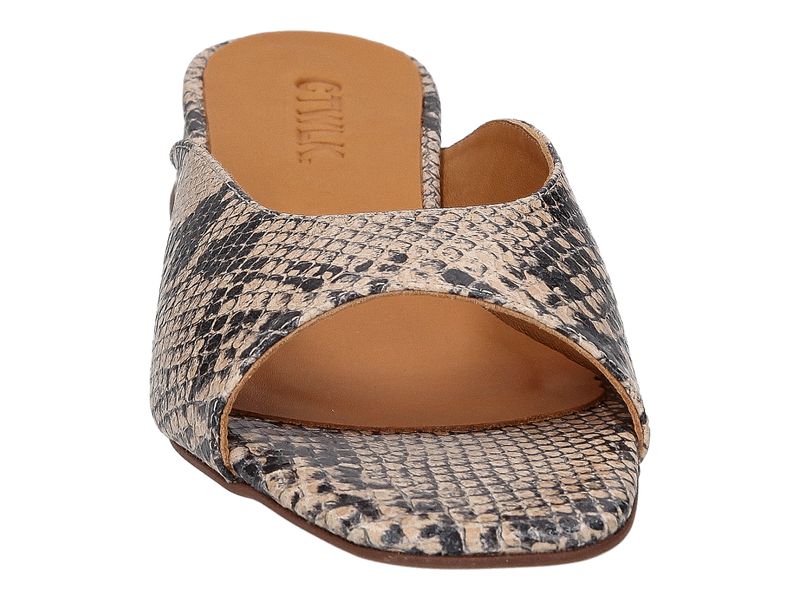 Ctwlk Slippers Serpent