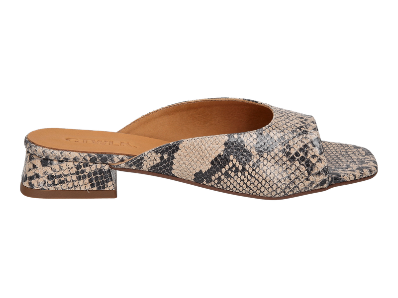 Ctwlk Slippers Serpent
