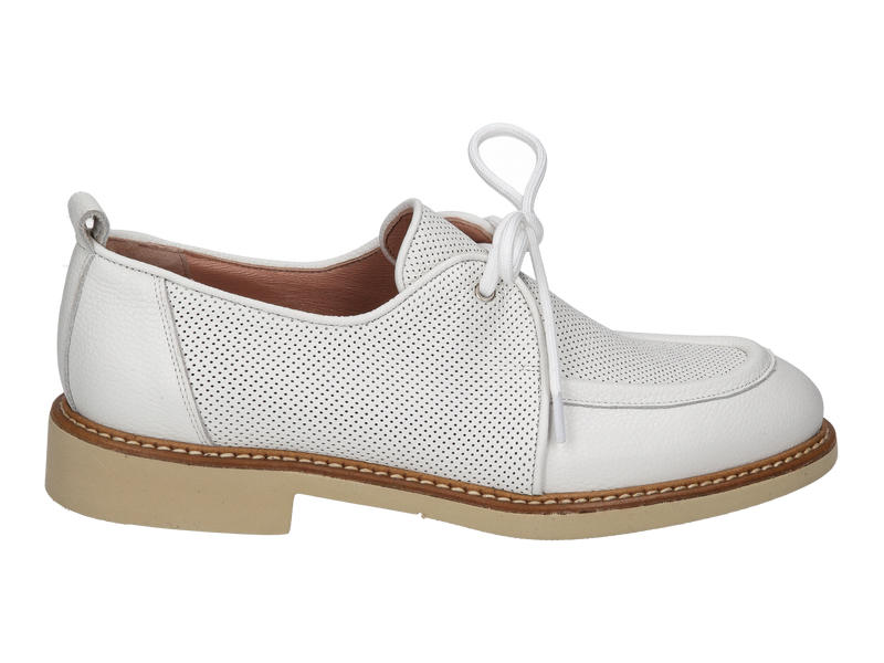 Fratelli Rosana Chaussures à Lacets Blanc
