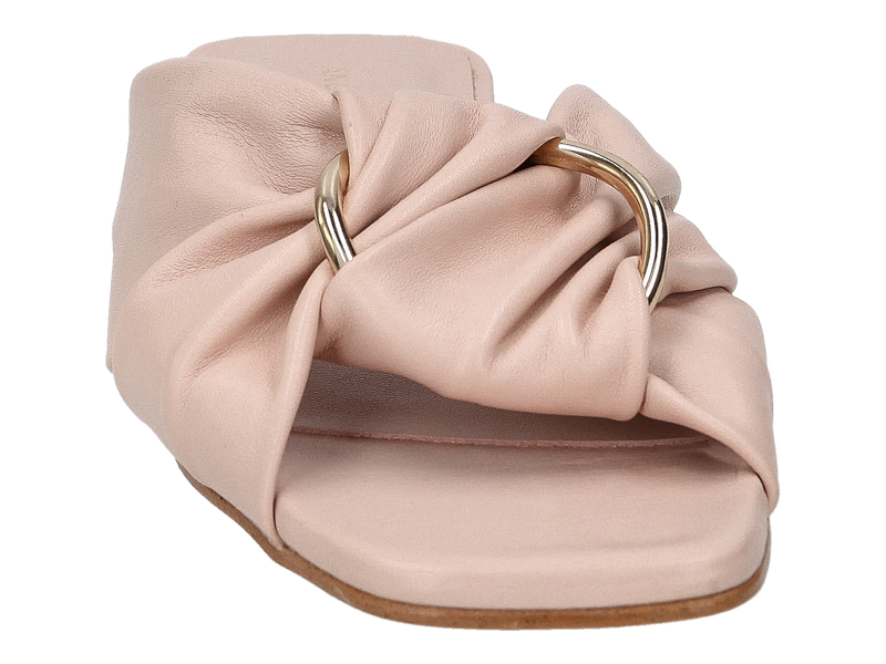 Angel Alarcon Mules Rose