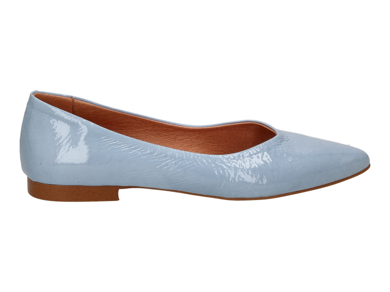Belang Ballerines Bleu