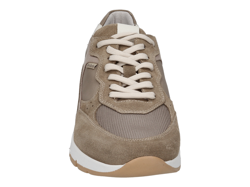 Nero Giardini Sneakers Beige