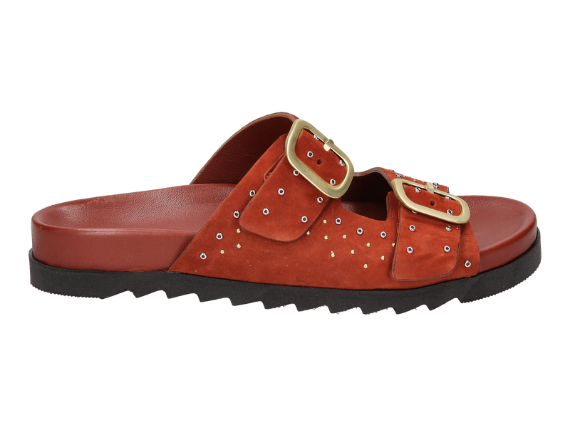 Antenora Tongues Cognac