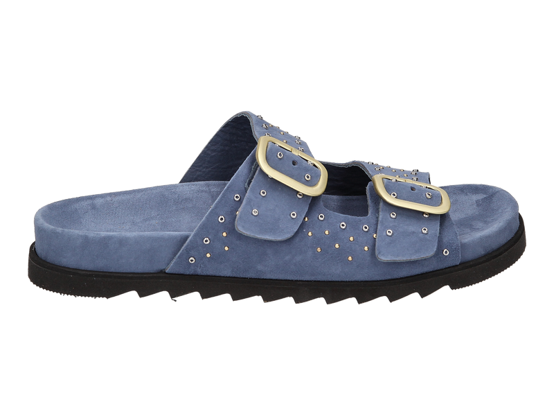 Antenora Tongues Bleu