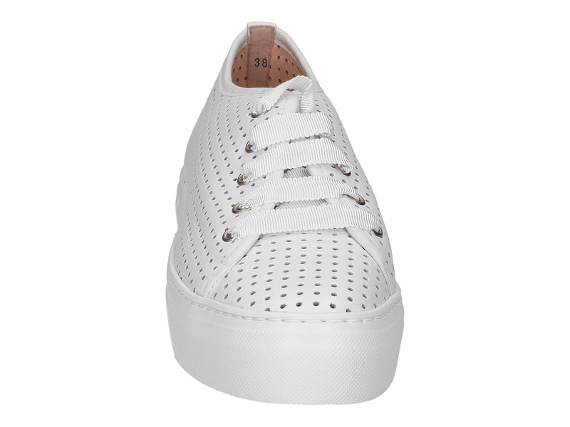 Voir le produit 'Agl Baskets Blanc' (en anglais) Agl Baskets Blanc