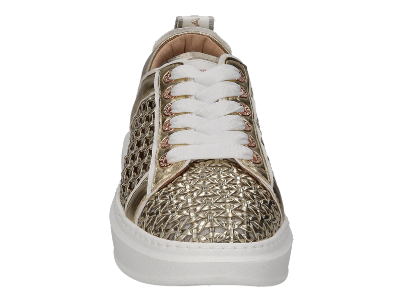 Alexander Smith Sneakers Goud