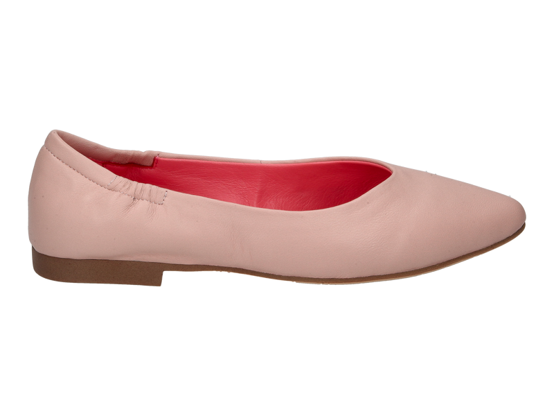 Blackrose Ballerinas Roze
