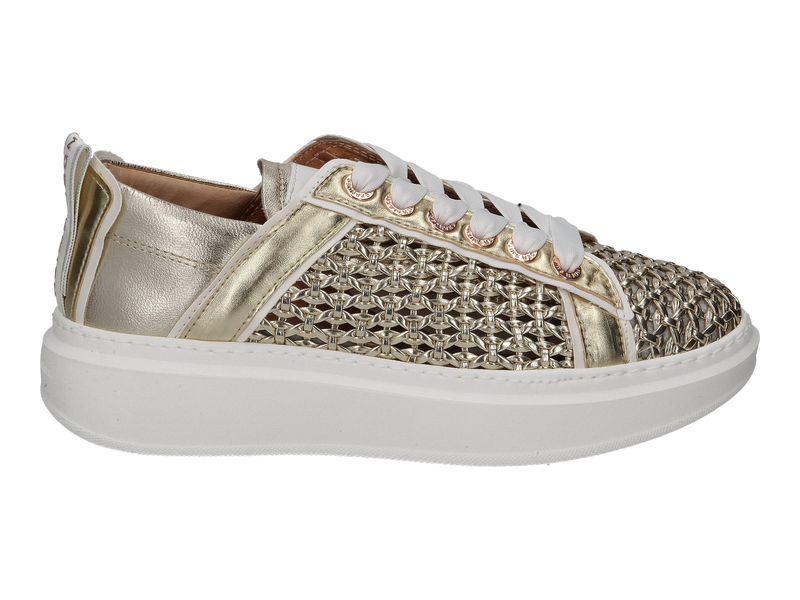 Alexander Smith Sneakers Goud