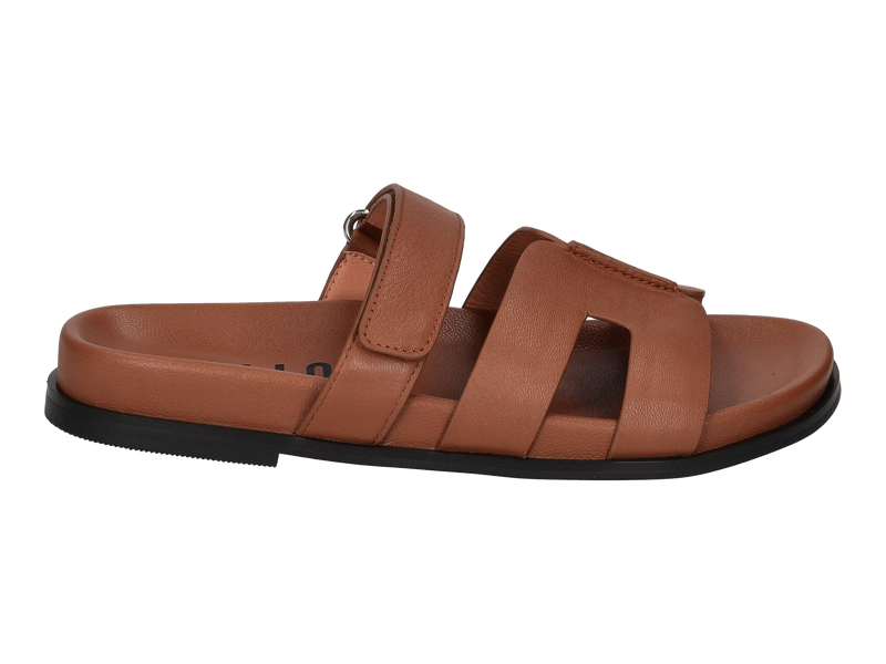 Bibi Lou Muilen Bruin