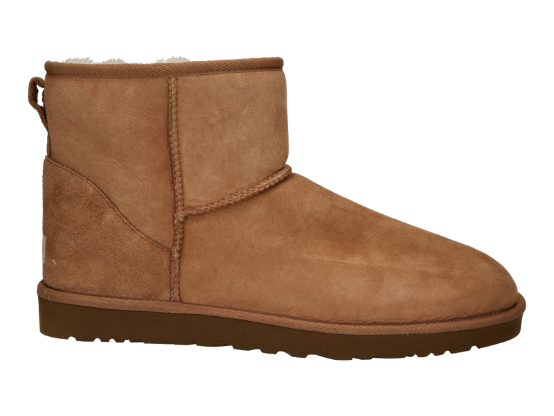 Ugg Bottines Cognac