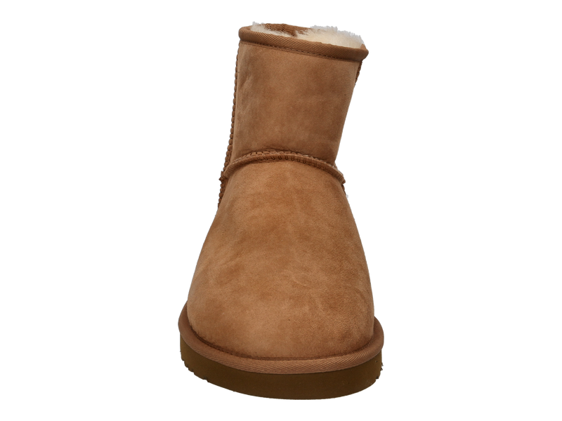 Ugg Boots Cognac