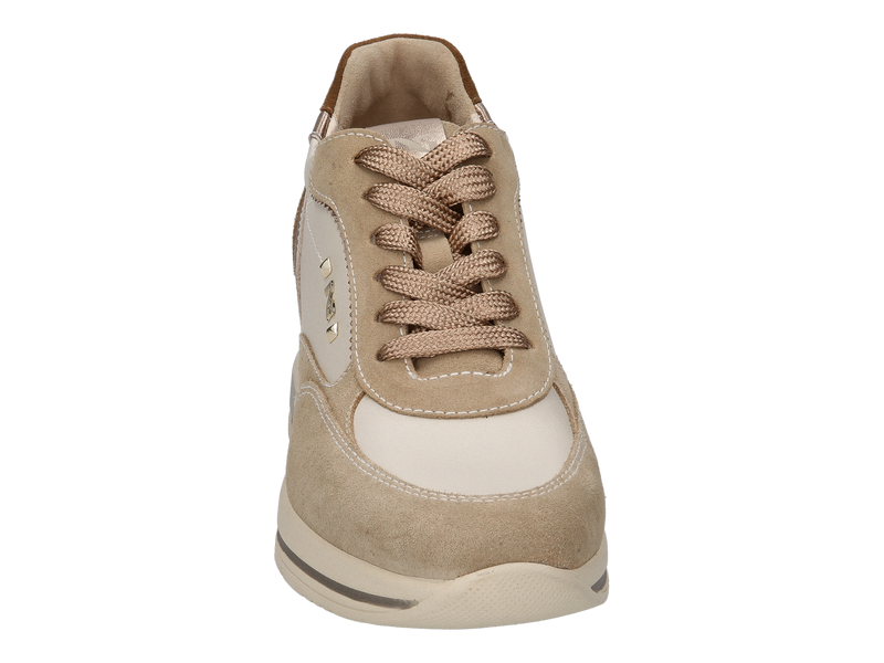 Voir le produit 'Nero Giardini Baskets Beige' (en anglais) Nero Giardini Baskets Beige