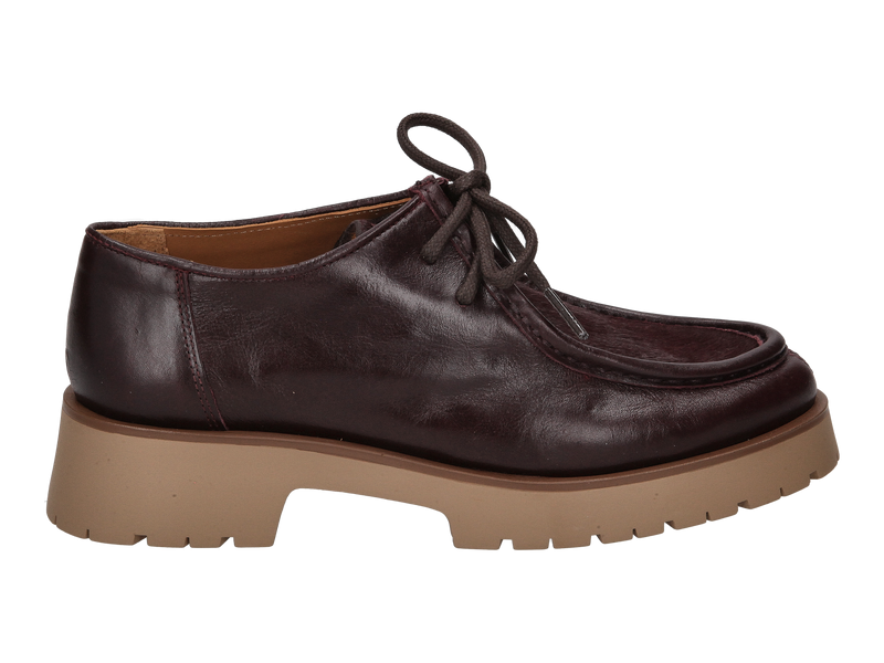 Ctwlk Veterschoenen Bordeaux