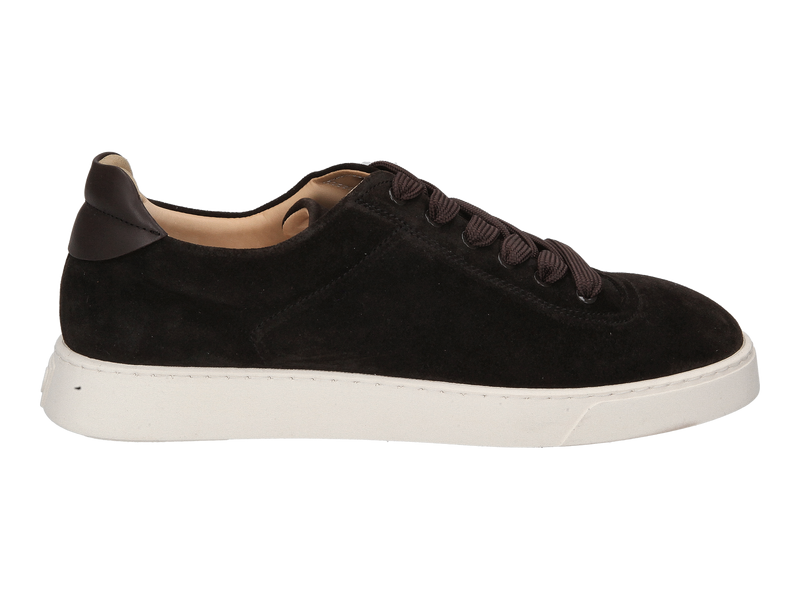Referenc Sneakers Brown