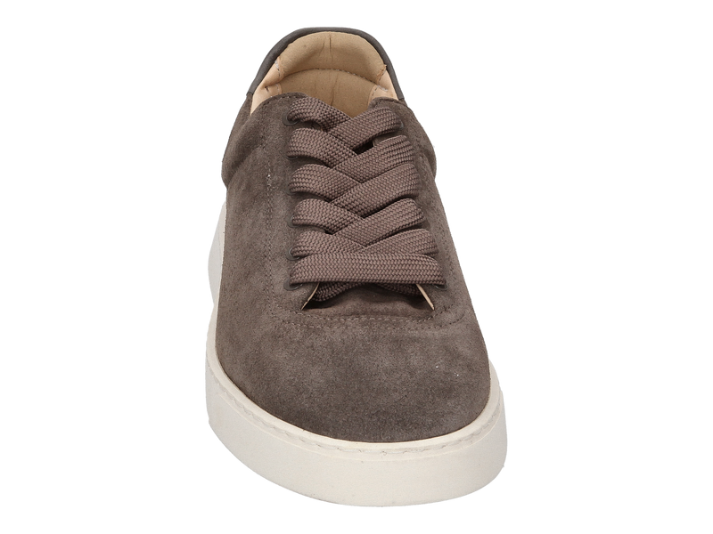Referenc Sneakers Taupe