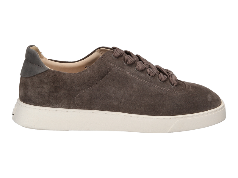 Referenc Sneakers Taupe