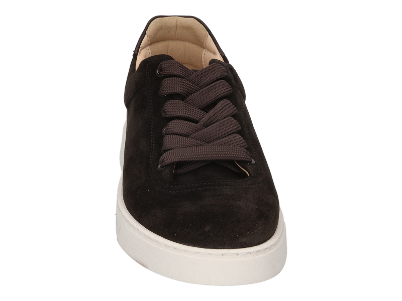Referenc Sneakers Brown
