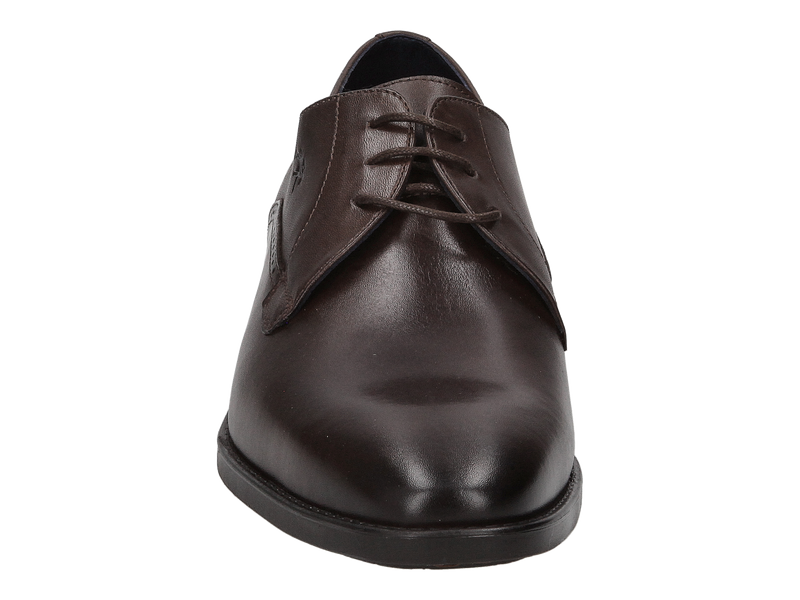 Fluchos Lace Shoes Brown