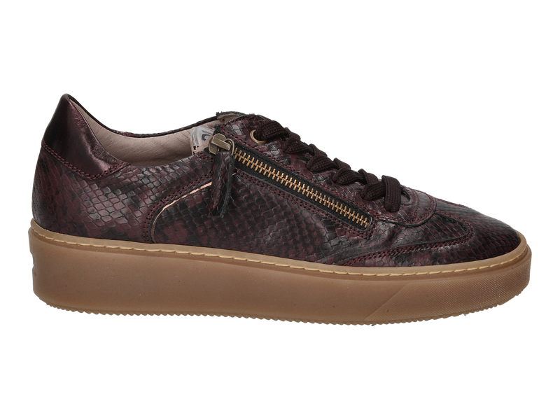 Voir le produit 'Dlsport Baskets Bordeaux' (en anglais) Dlsport Baskets Bordeaux