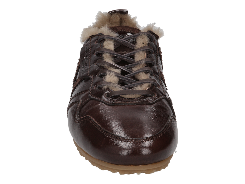 Kennel & Schmenger Veters Bruin