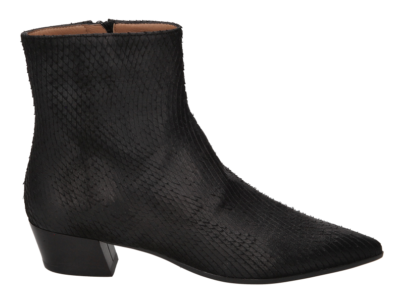 Martina T Ankle Boots Brown