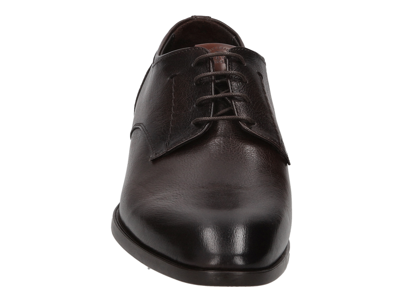 Giorgio Lace Shoes Brown