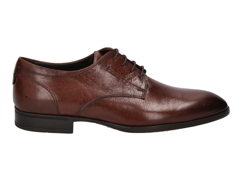 Giorgio Lace Shoes Brown