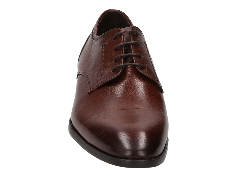 Giorgio Lace Shoes Brown