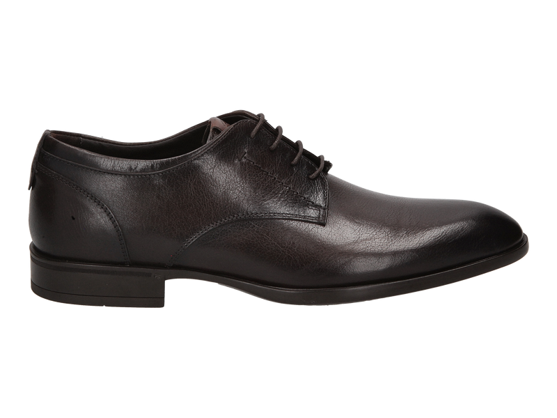 Giorgio Lace Shoes Brown
