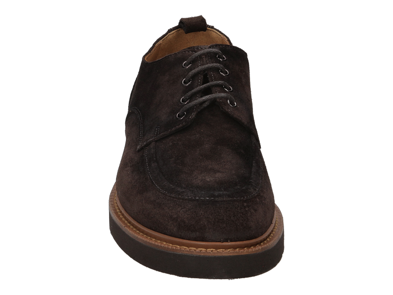 Giorgio Lace Shoes Brown