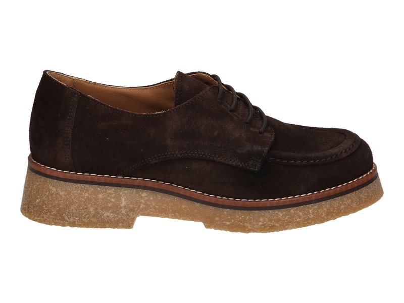 Belang Veters Bruin