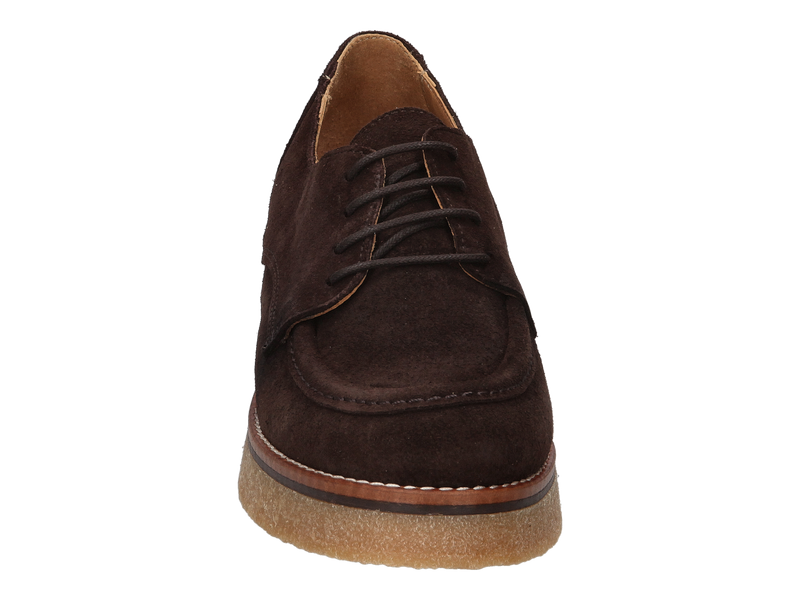 Belang Veters Bruin