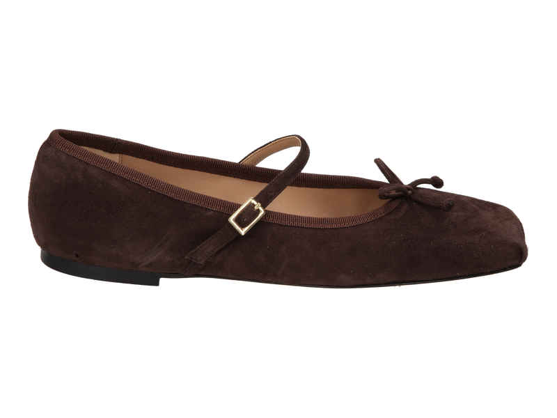 Prosperine Ballerines Brun