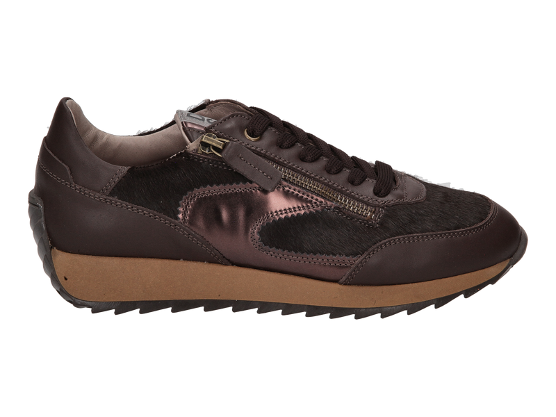 Bekijk product 'Dlsport Sneakers Bruin' Dlsport Sneakers Bruin