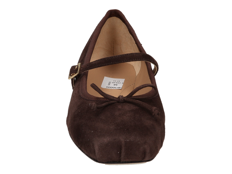 Prosperine Ballerines Brun
