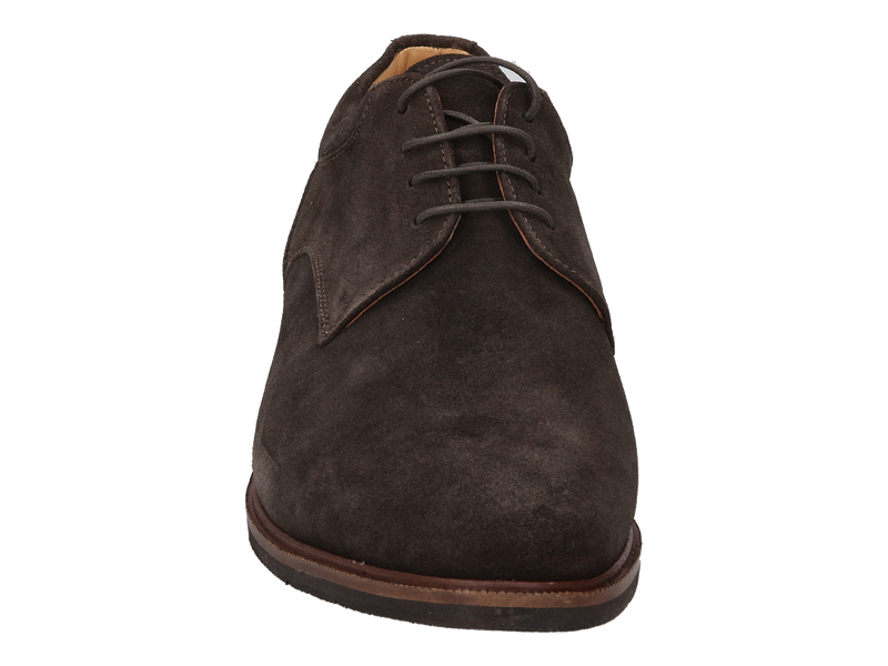 Ambiorix Chaussures à Lacets Brun