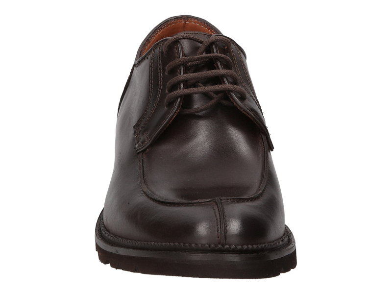 Ambiorix Lace Shoes Brown