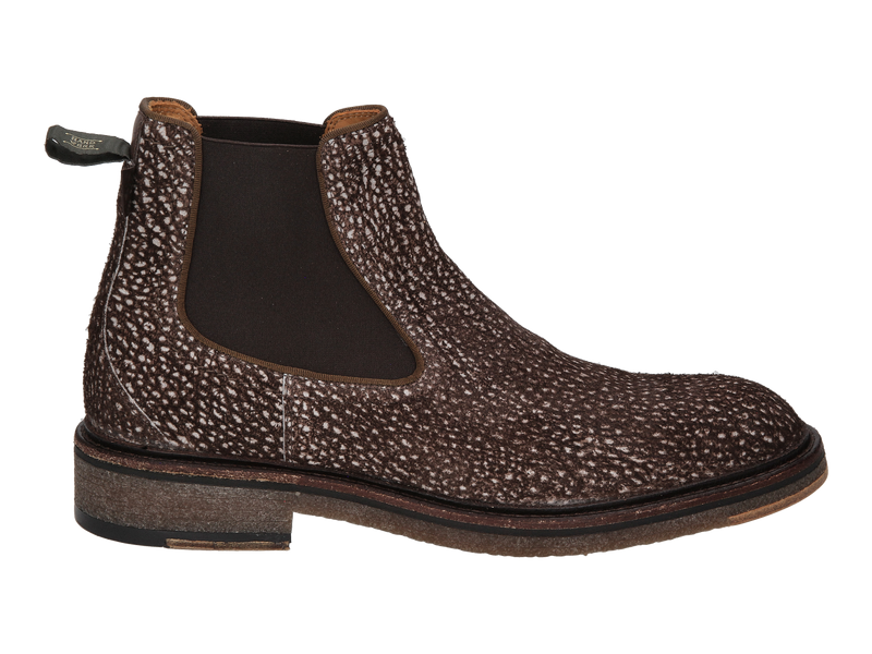 Floris Van Bommel Bottines Brun