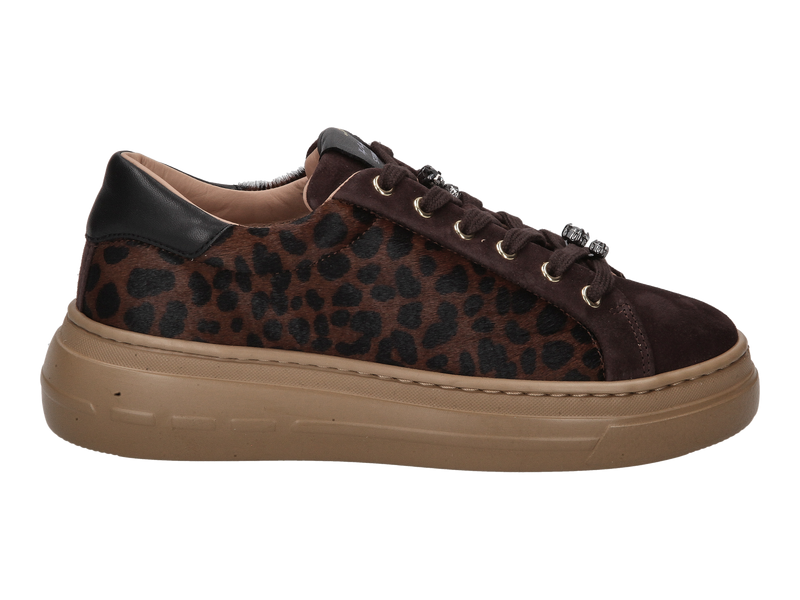 Voir le produit 'Stokton Baskets Brun' (en anglais) Stokton Baskets Brun