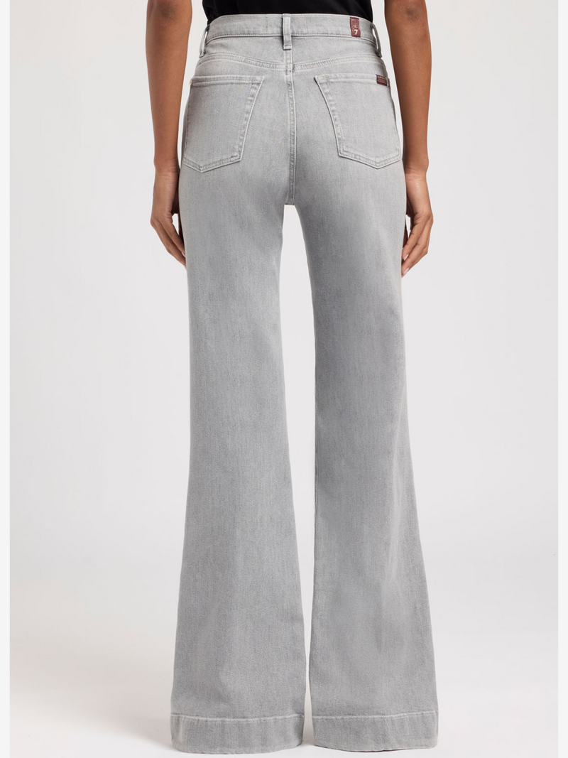 7 For All Mankind Pantalons Gris