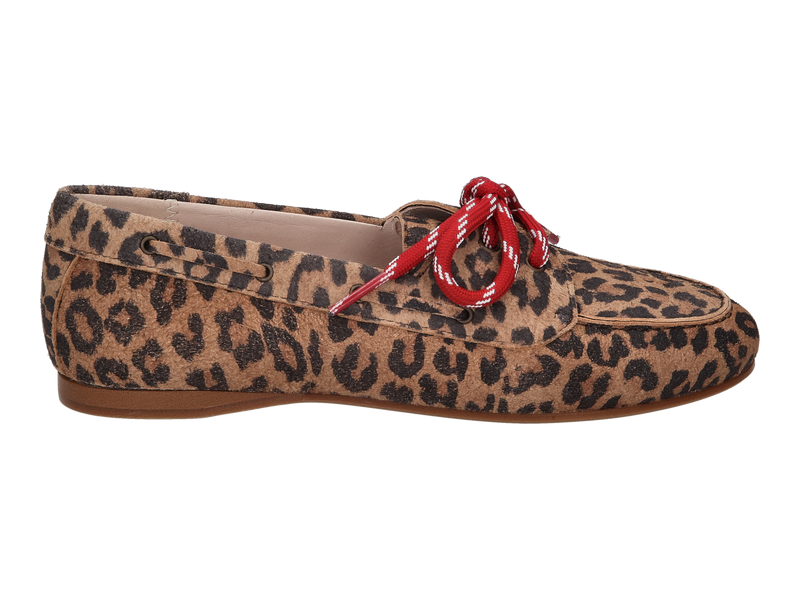 Voir le produit 'Beberlis Mocassins Leopard' (en anglais) Beberlis Mocassins Leopard