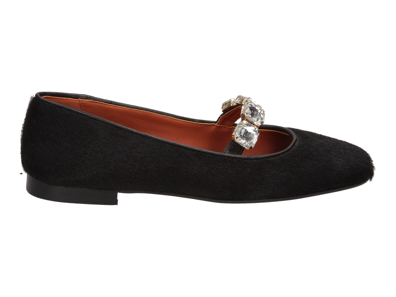 Prosperine Ballerines Brun