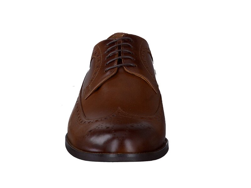 Conhpol Chaussures à Lacets Brun