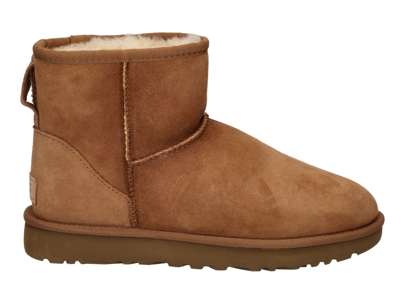 Ugg Boots Cognac